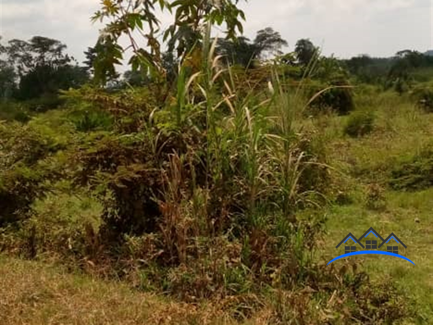 Agricultural Land for sale in Kabulamulilo Nakaseke