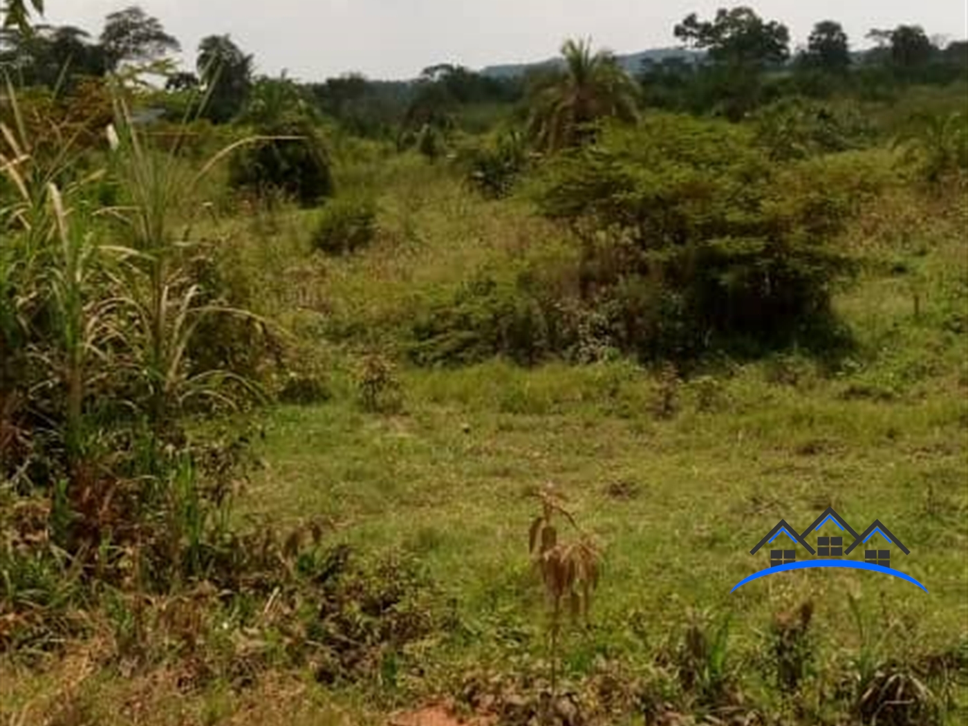 Agricultural Land for sale in Kabulamulilo Nakaseke