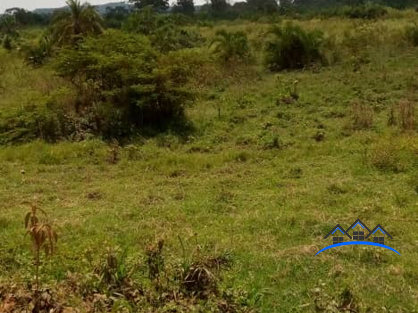 Agricultural Land for sale in Kabulamulilo Nakaseke