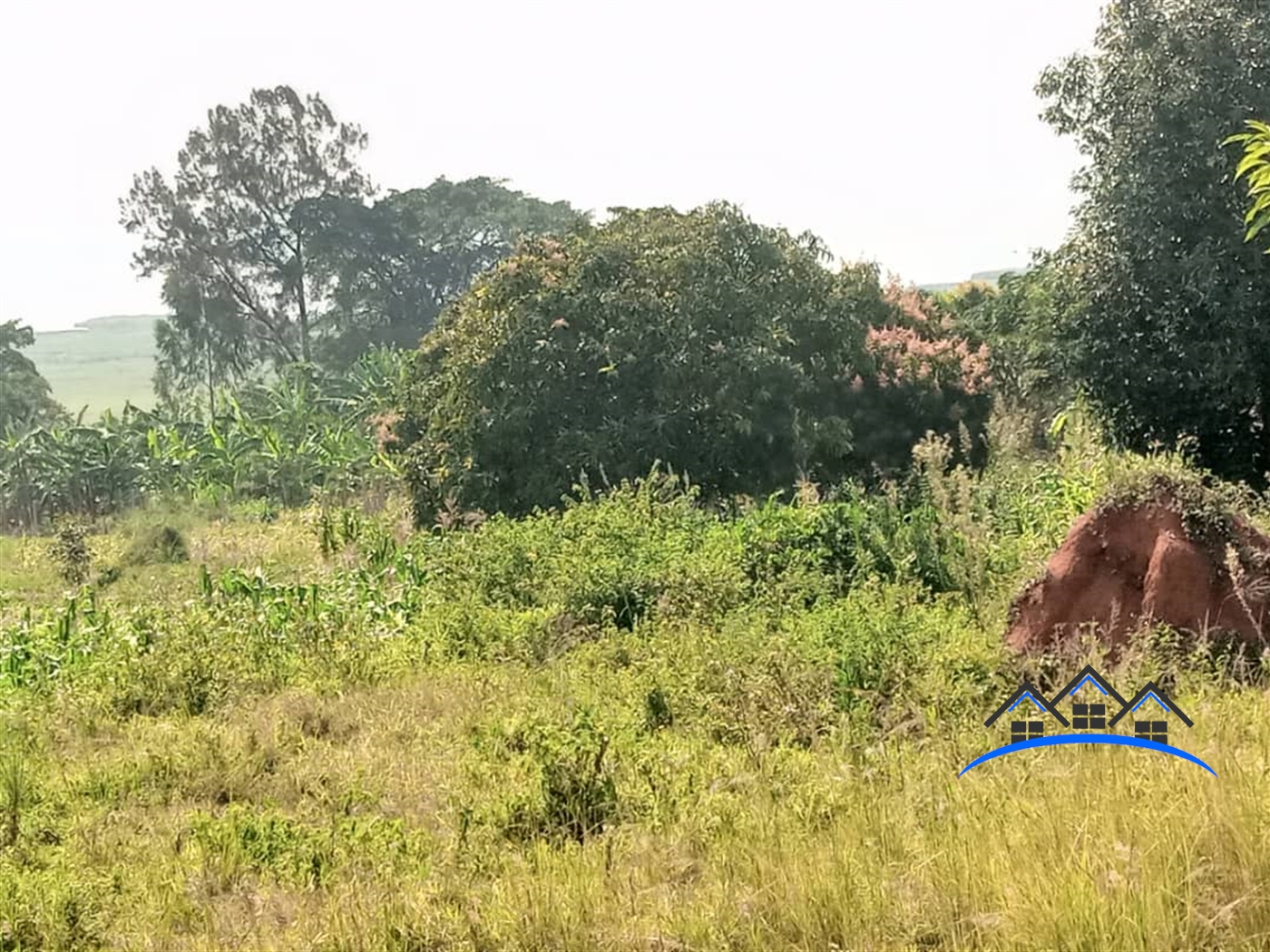 Residential Land for sale in Bweya Wakiso