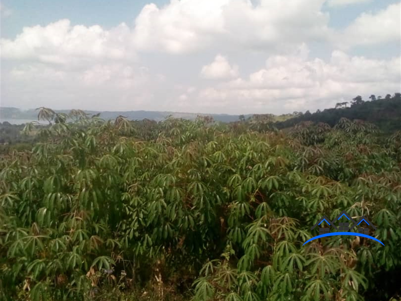 Residential Land for sale in Nkokonjeru Mukono