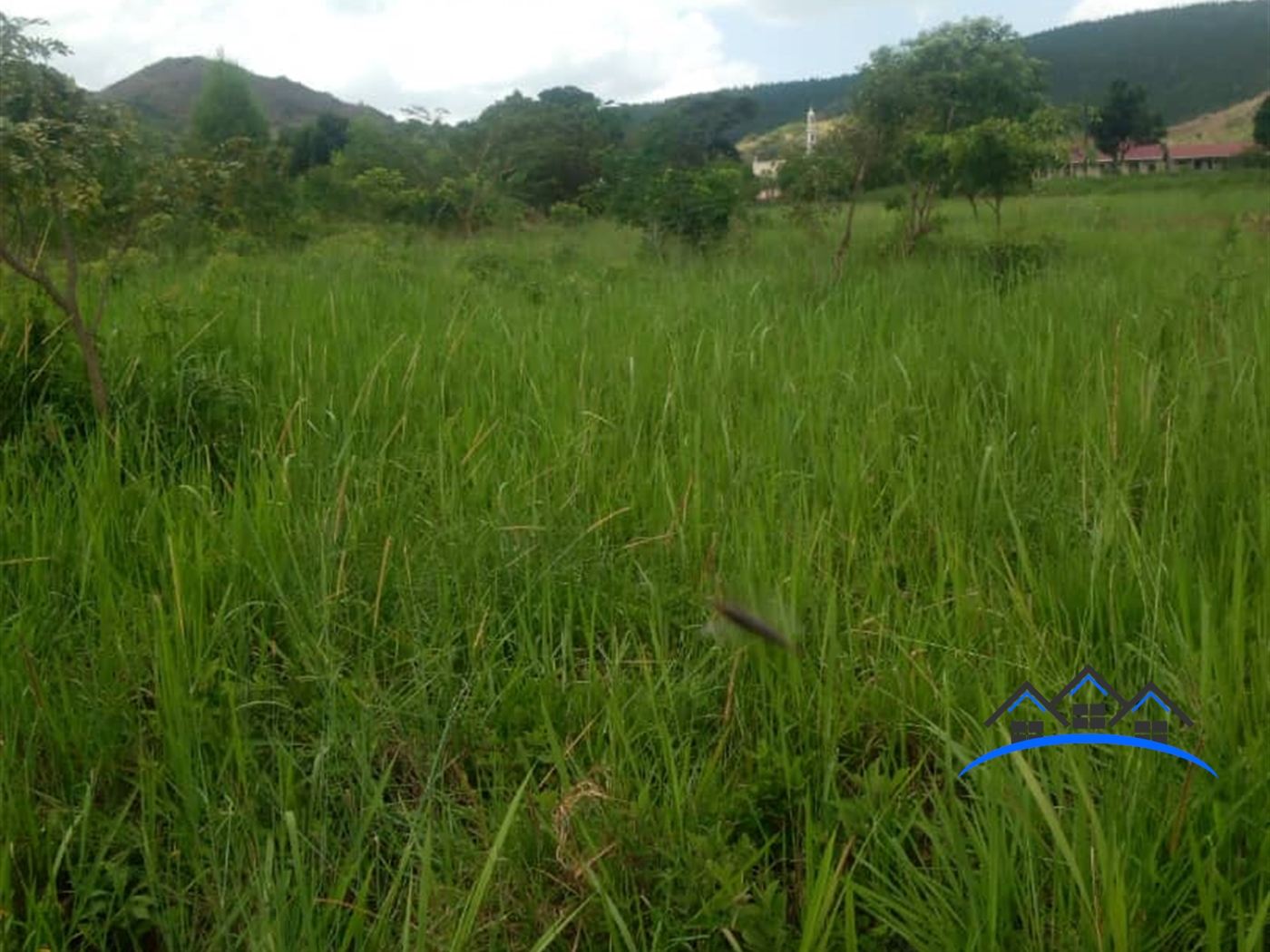 Residential Land for sale in Nkokonjeru Mukono