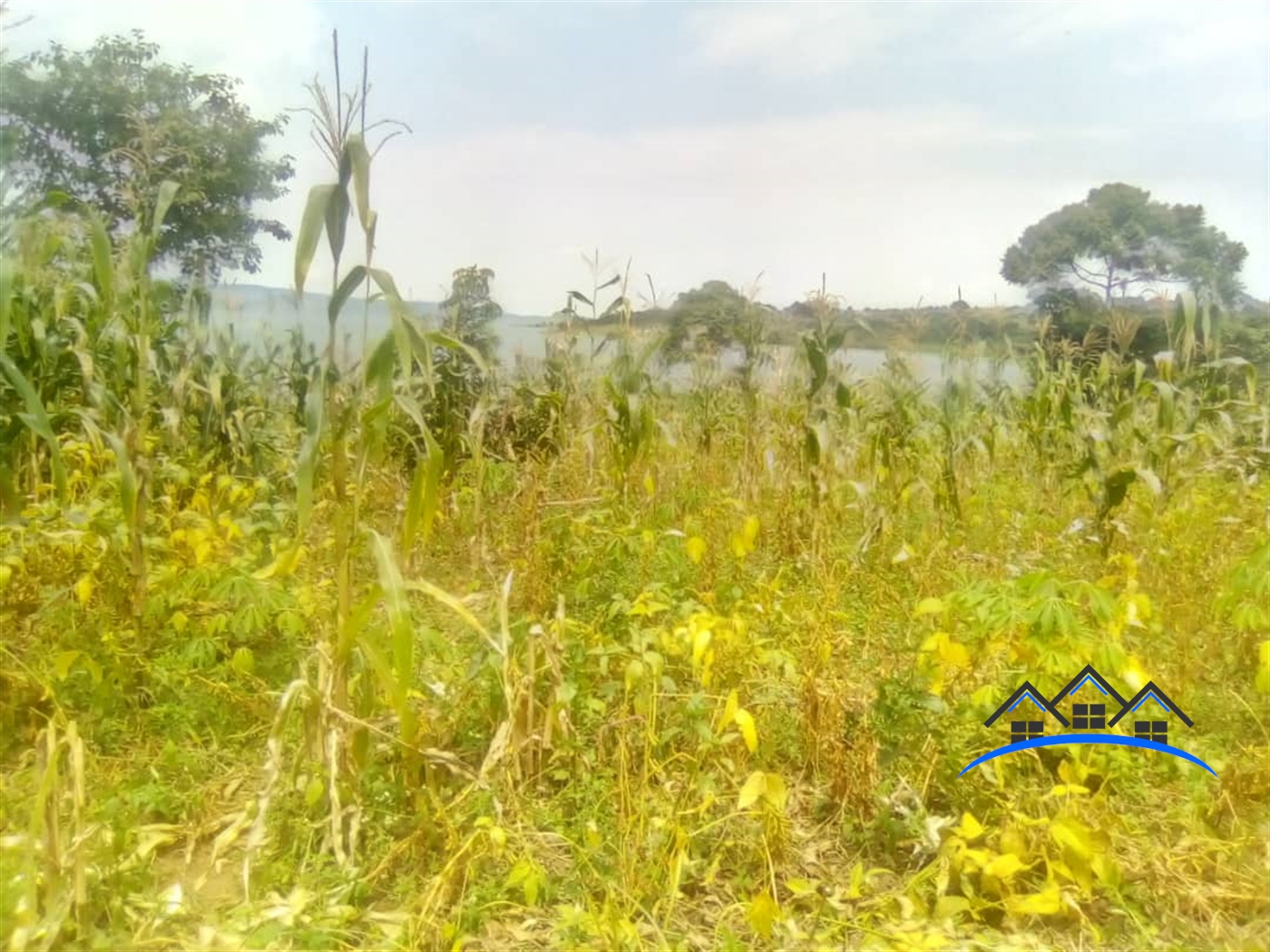 Residential Land for sale in Nkokonjeru Mukono