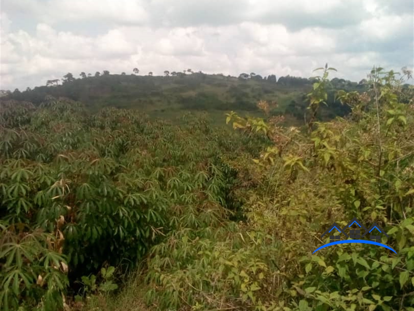 Residential Land for sale in Nkokonjeru Mukono