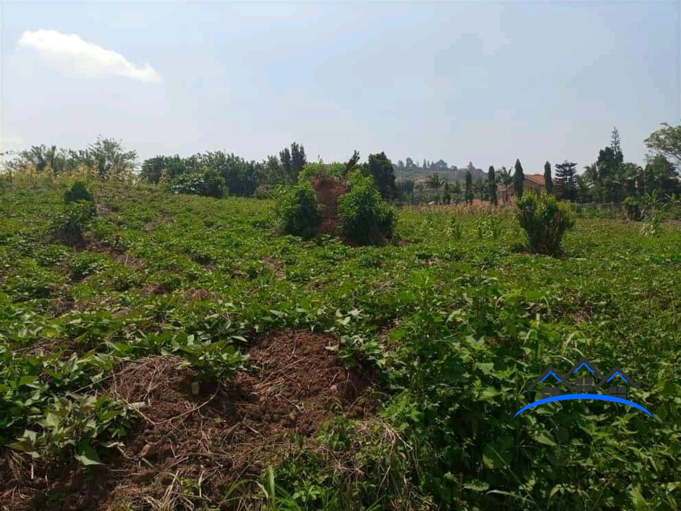 Residential Land for sale in Lubowa Wakiso