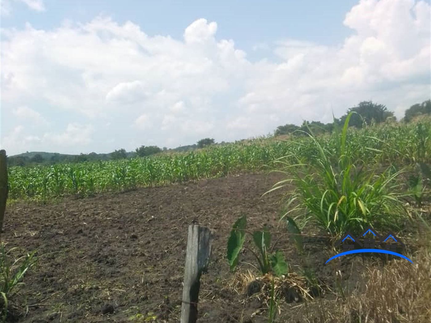 Agricultural Land for sale in Luweero Luweero