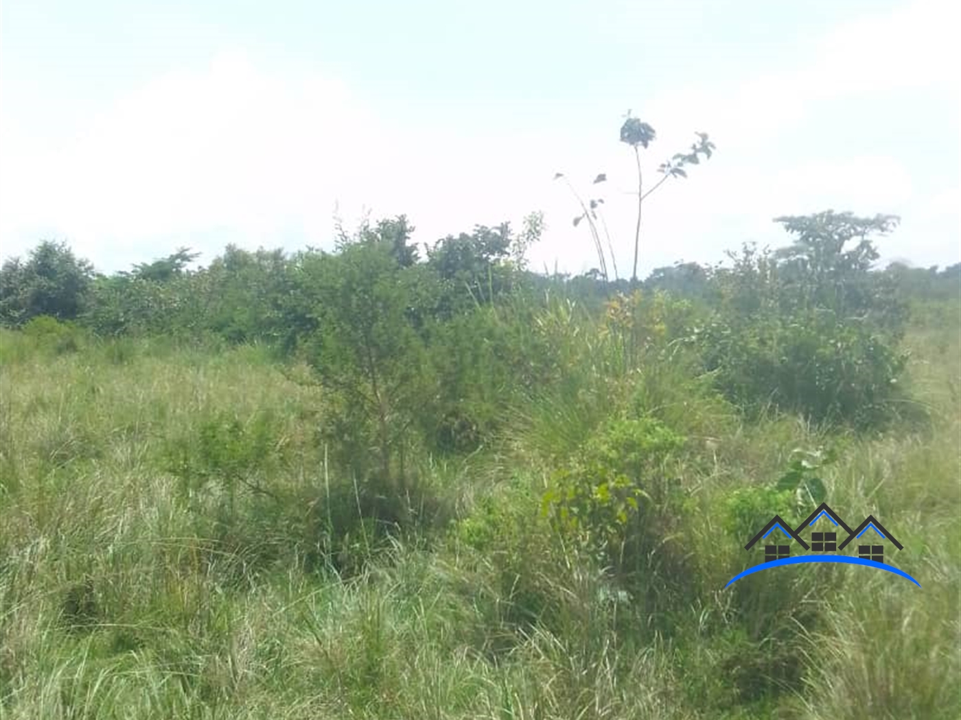 Agricultural Land for sale in Luweero Luweero