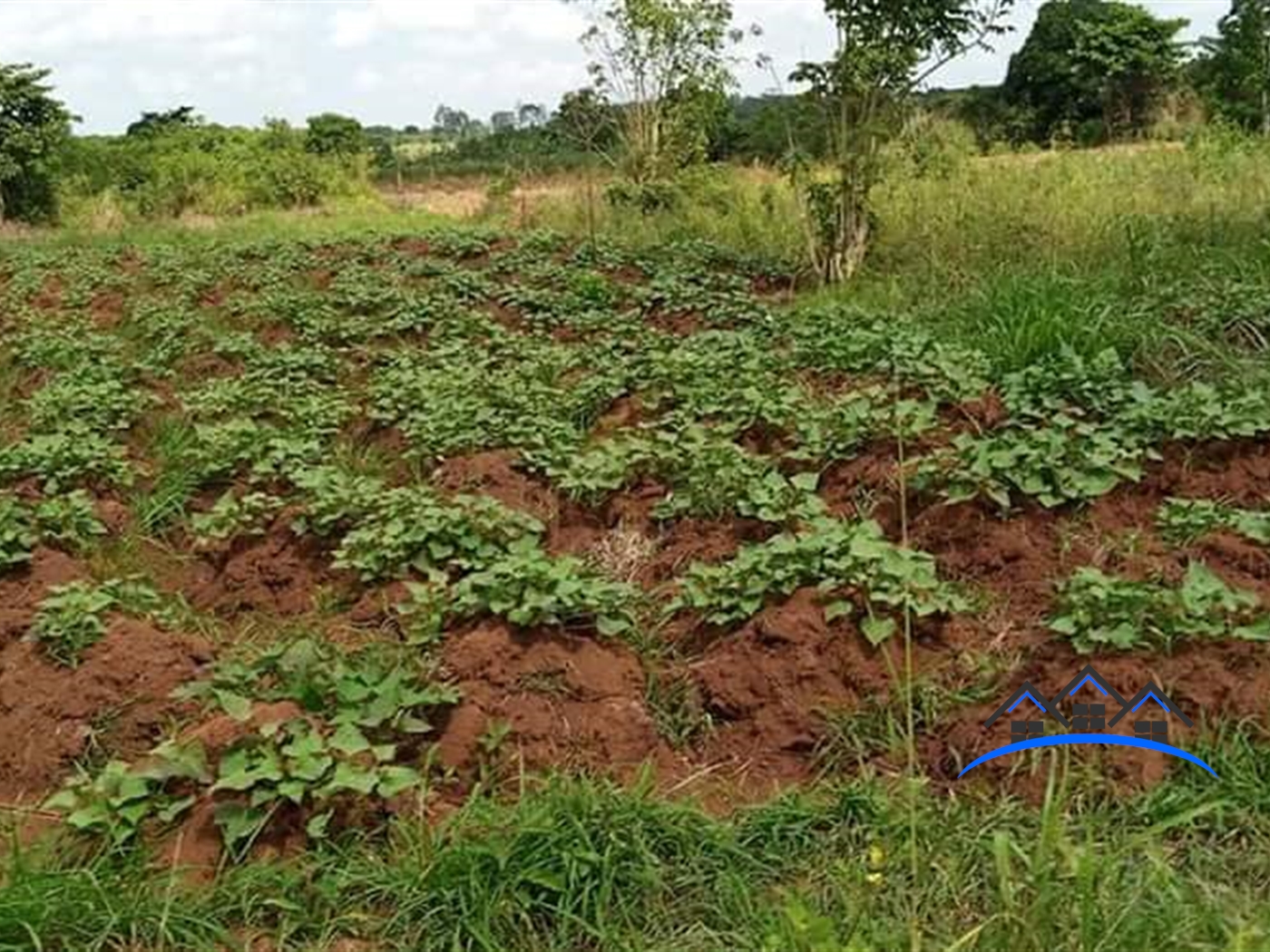 Agricultural Land for sale in Kikyuusa Luweero