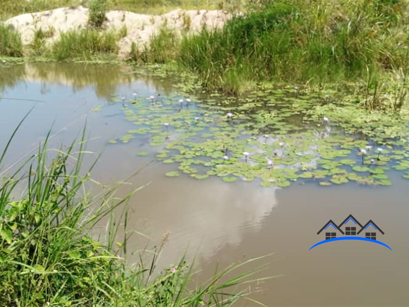 Agricultural Land for sale in Kikyuusa Luweero