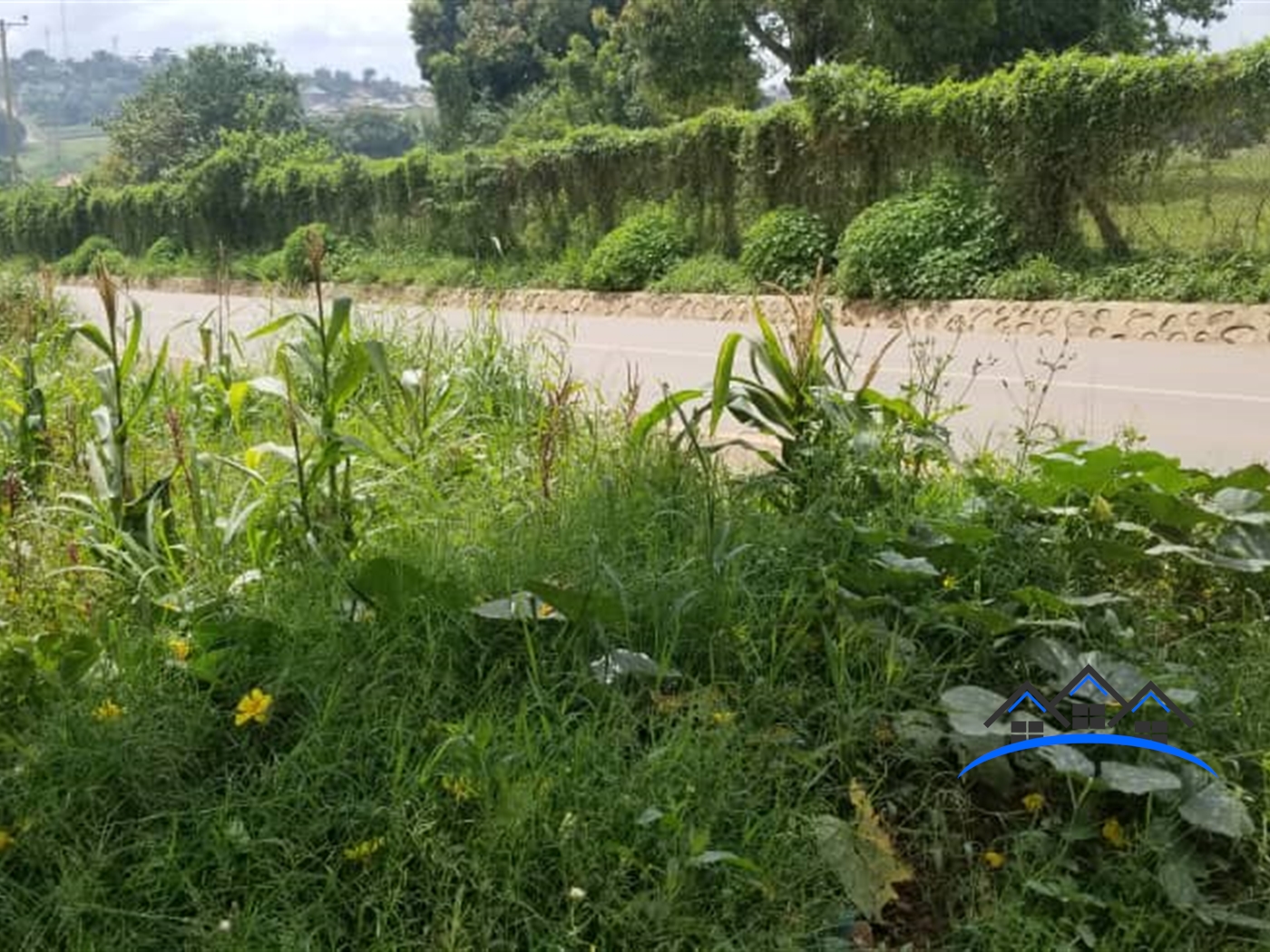 Residential Land for sale in Kyambogo Kampala