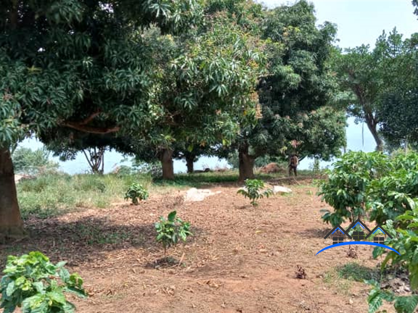 Agricultural Land for sale in Ssi Mukono