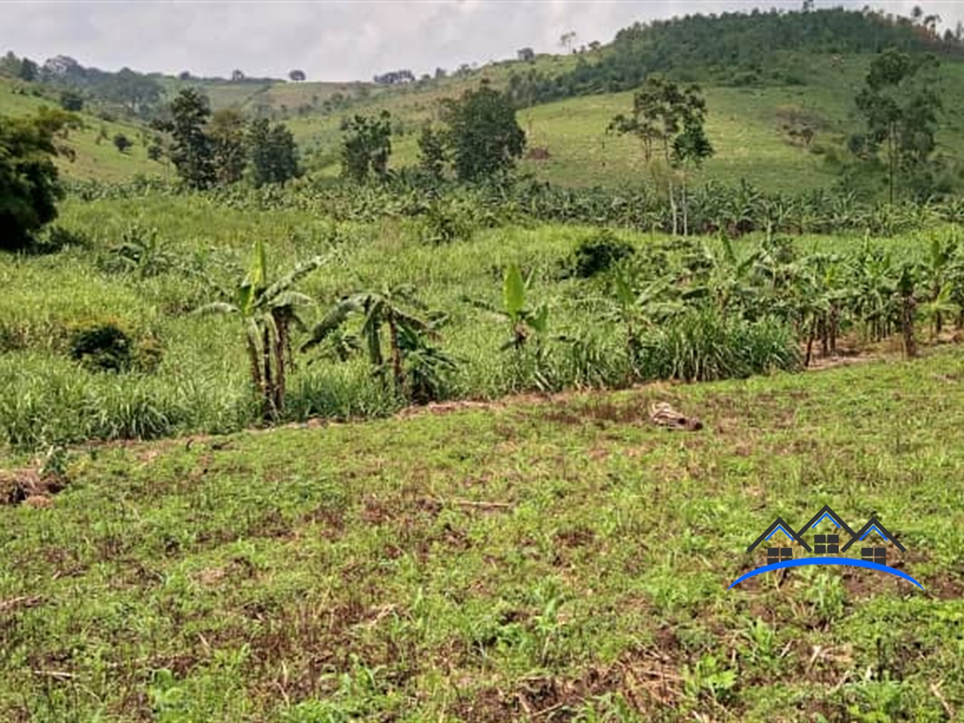 Agricultural Land for sale in Kabule Mityana