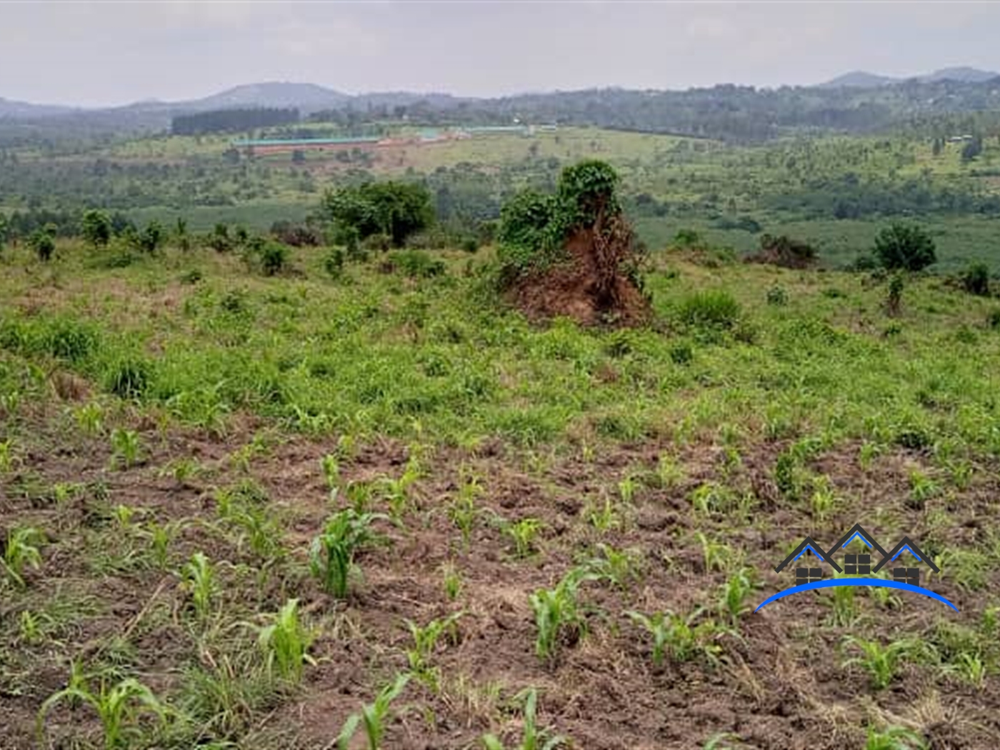 Multipurpose Land for sale in Buwalula Mityana