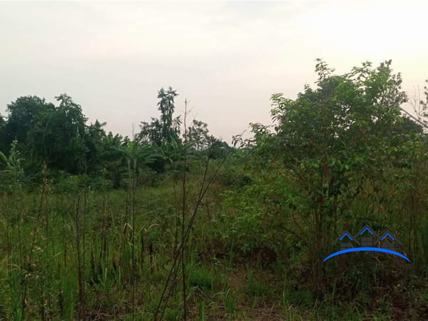 Residential Land for sale in Nakweelo Wakiso