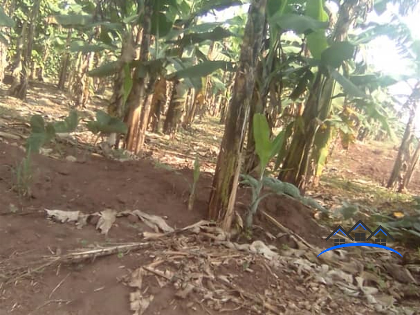 Multipurpose Land for sale in Busiika Wakiso