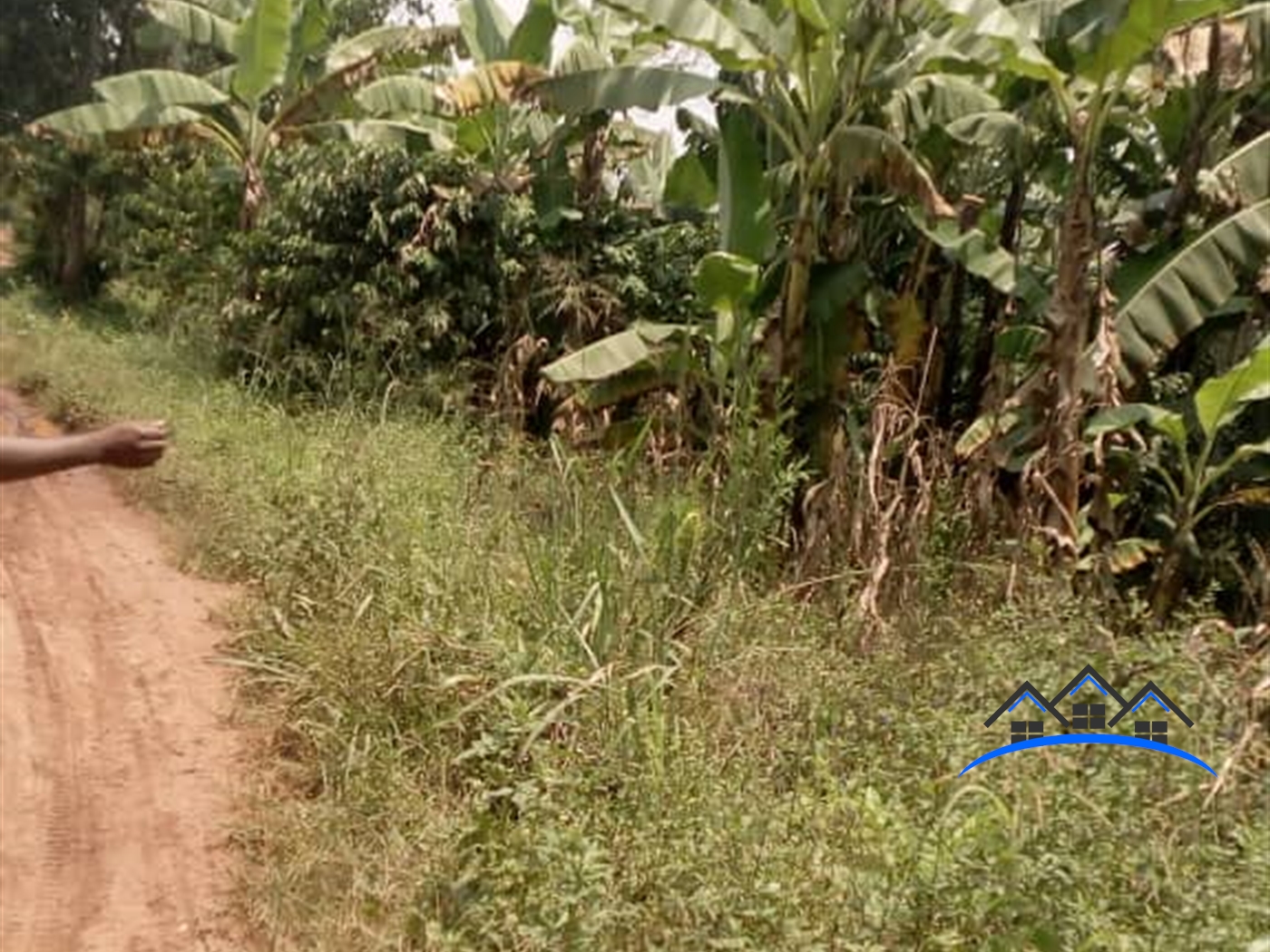 Multipurpose Land for sale in Lusenke Luweero