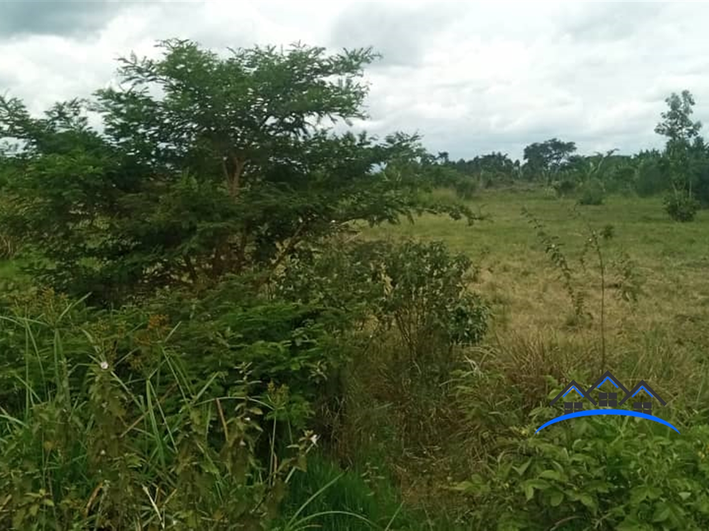 Agricultural Land for sale in Kiwungeela Mubende