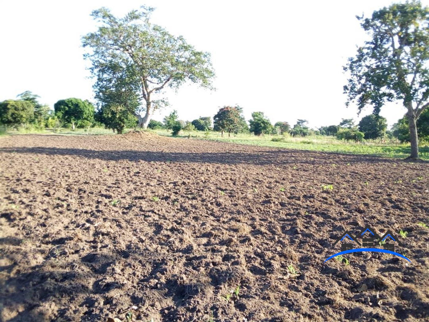 Multipurpose Land for sale in Bukuya Mubende