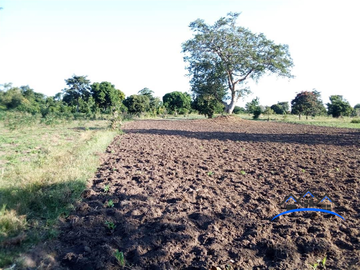 Multipurpose Land for sale in Bukuya Mubende