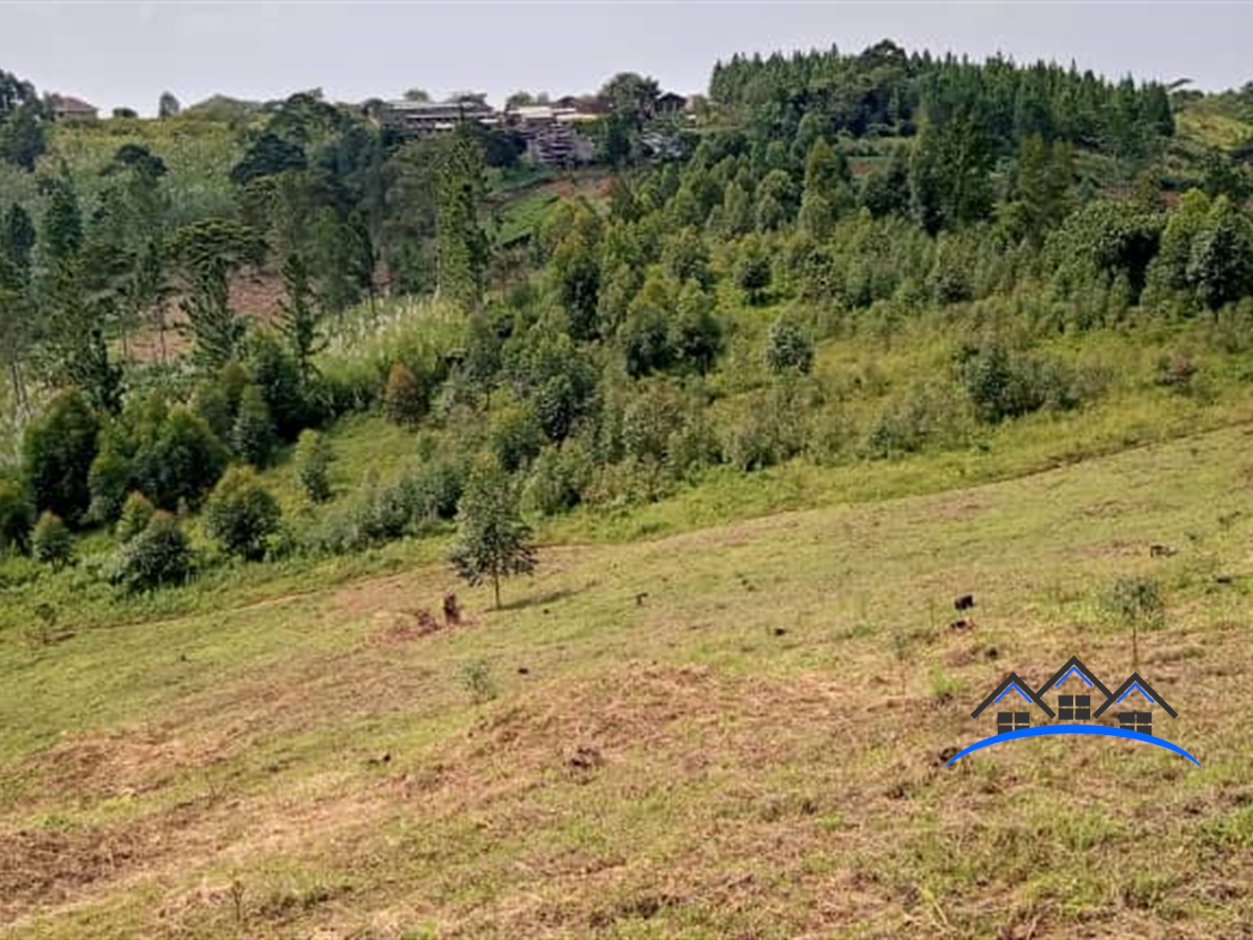 Residential Land for sale in Kiyindi Buyikwe