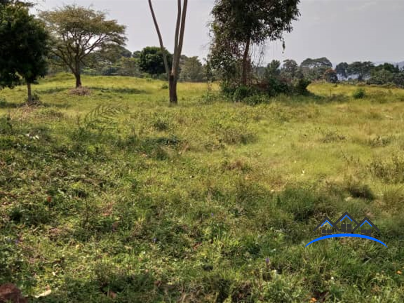 Residential Land for sale in Kiyindi Buyikwe