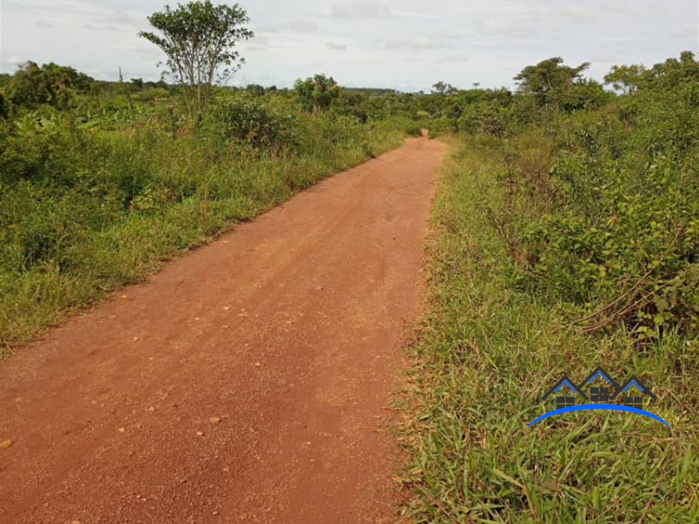 Multipurpose Land for sale in Butibulongo Nakaseke