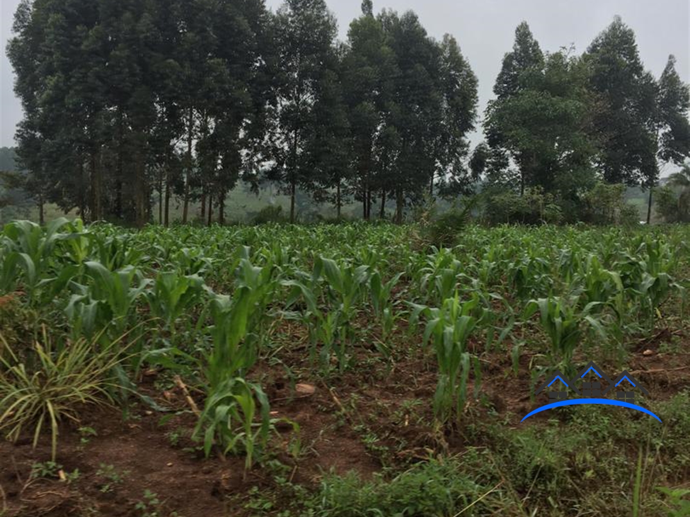 Multipurpose Land for sale in Kakumilo Mubende