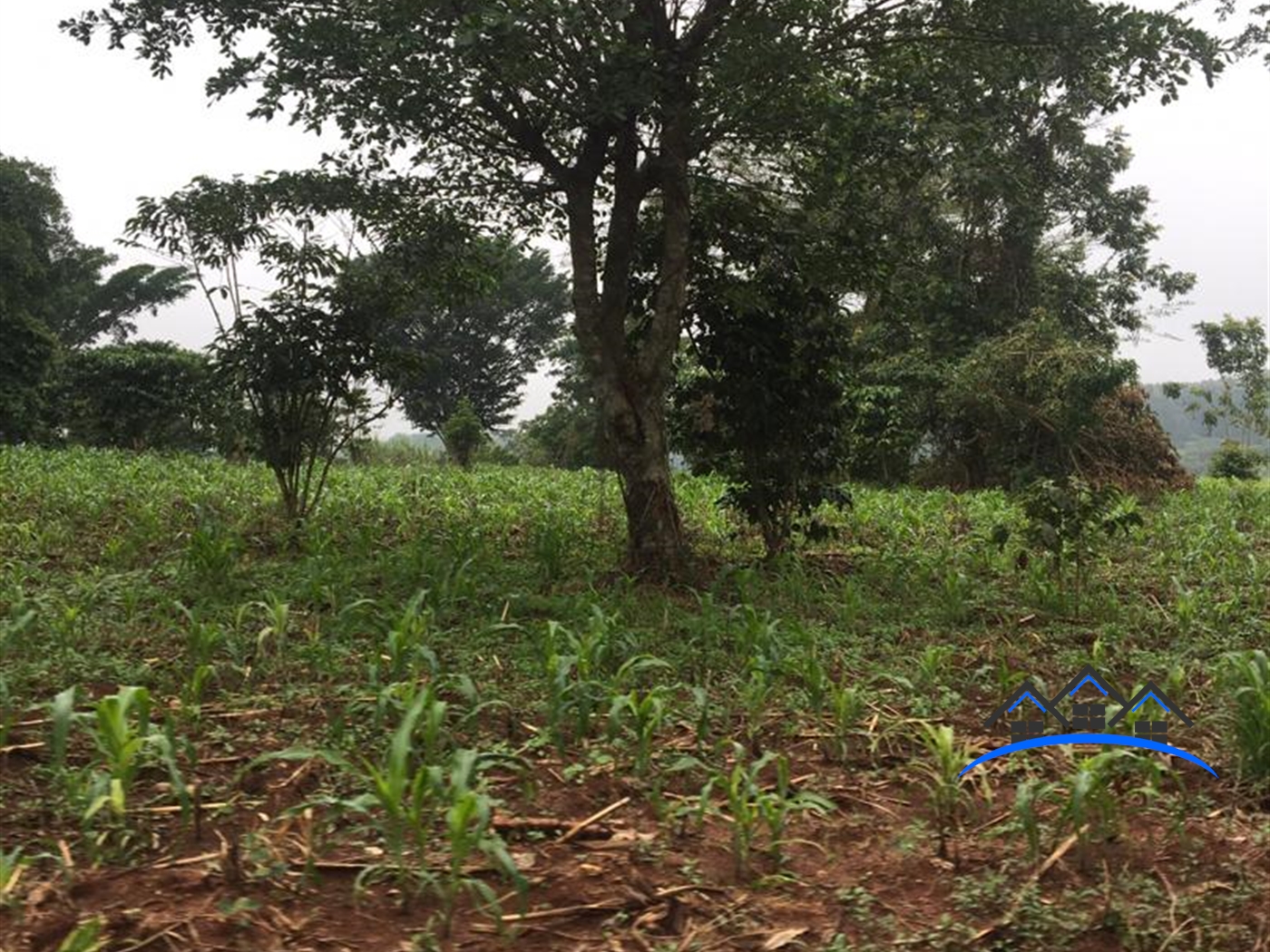 Multipurpose Land for sale in Kakumilo Mubende