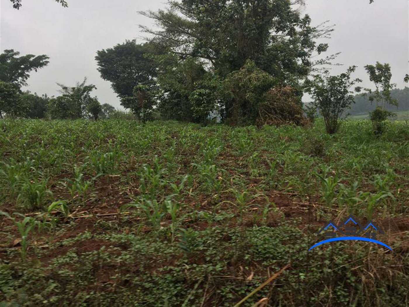 Multipurpose Land for sale in Kakumilo Mubende