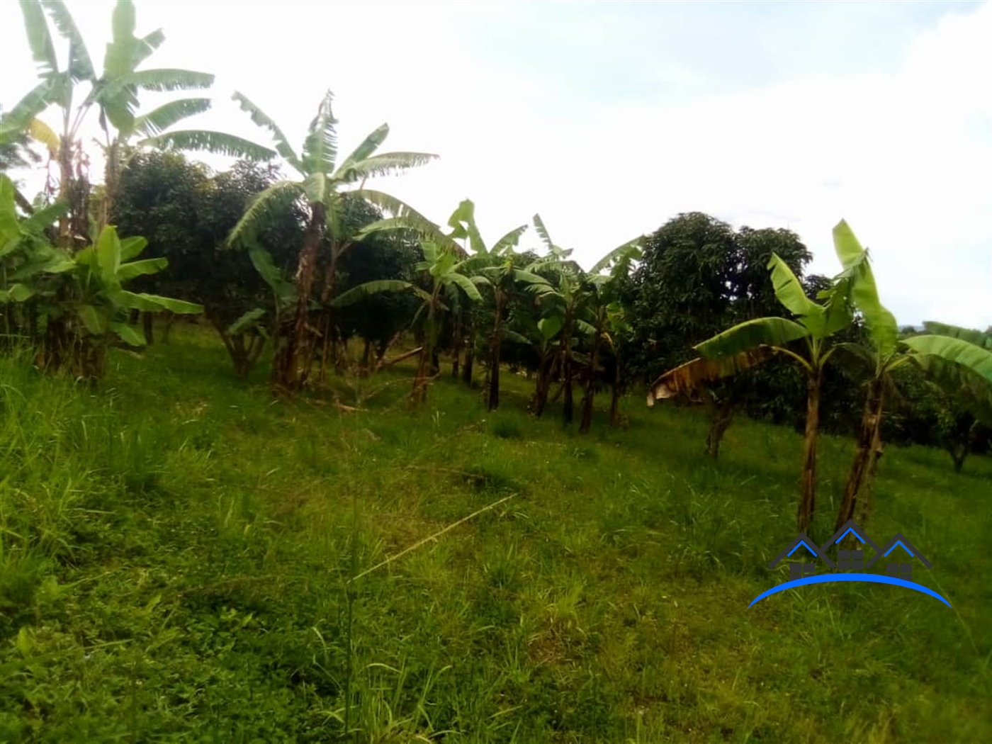 Residential Land for sale in Namayiba Mukono