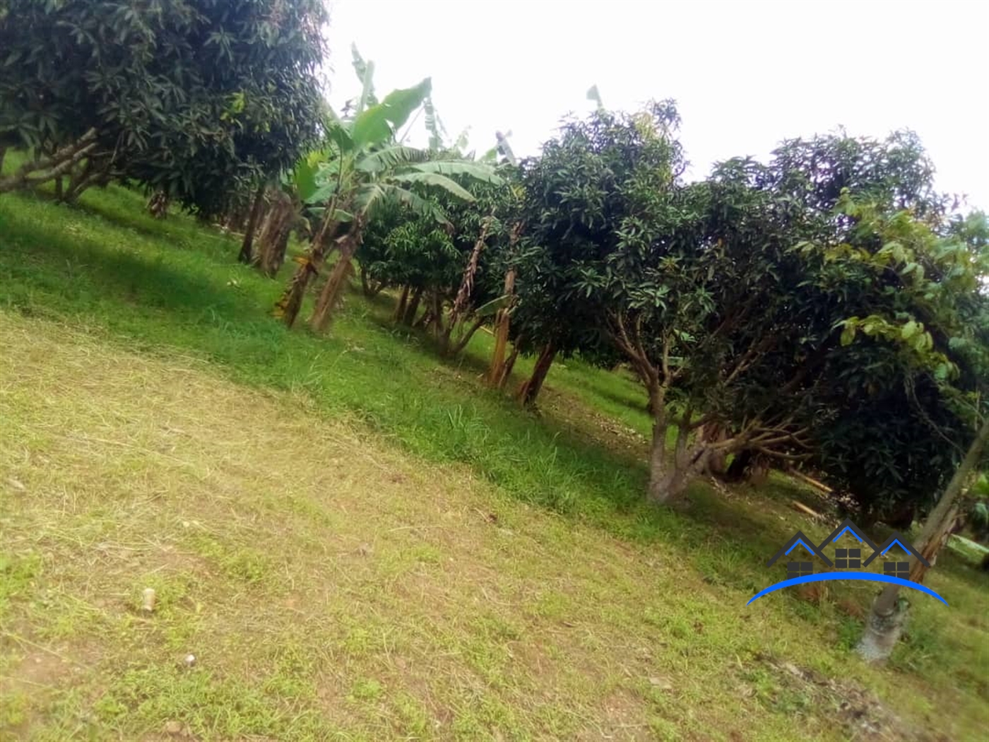 Residential Land for sale in Namayiba Mukono