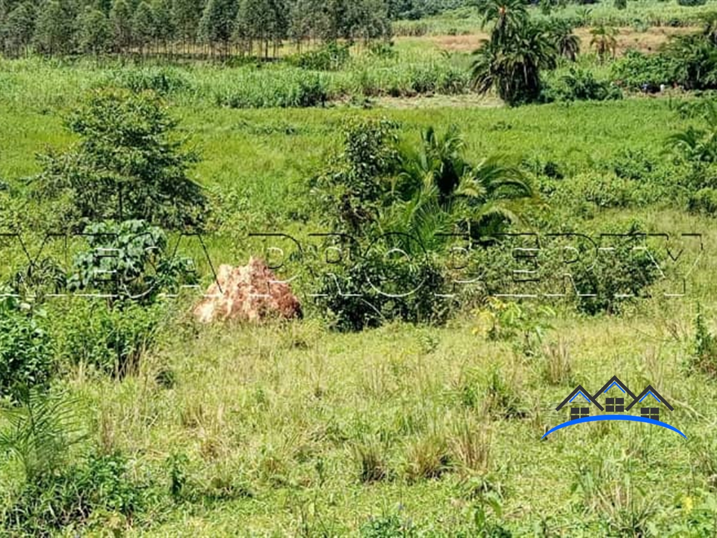 Multipurpose Land for sale in Buwalula Mityana