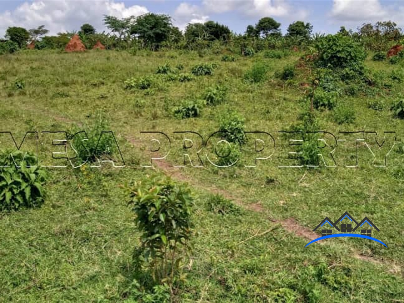 Multipurpose Land for sale in Buwalula Mityana