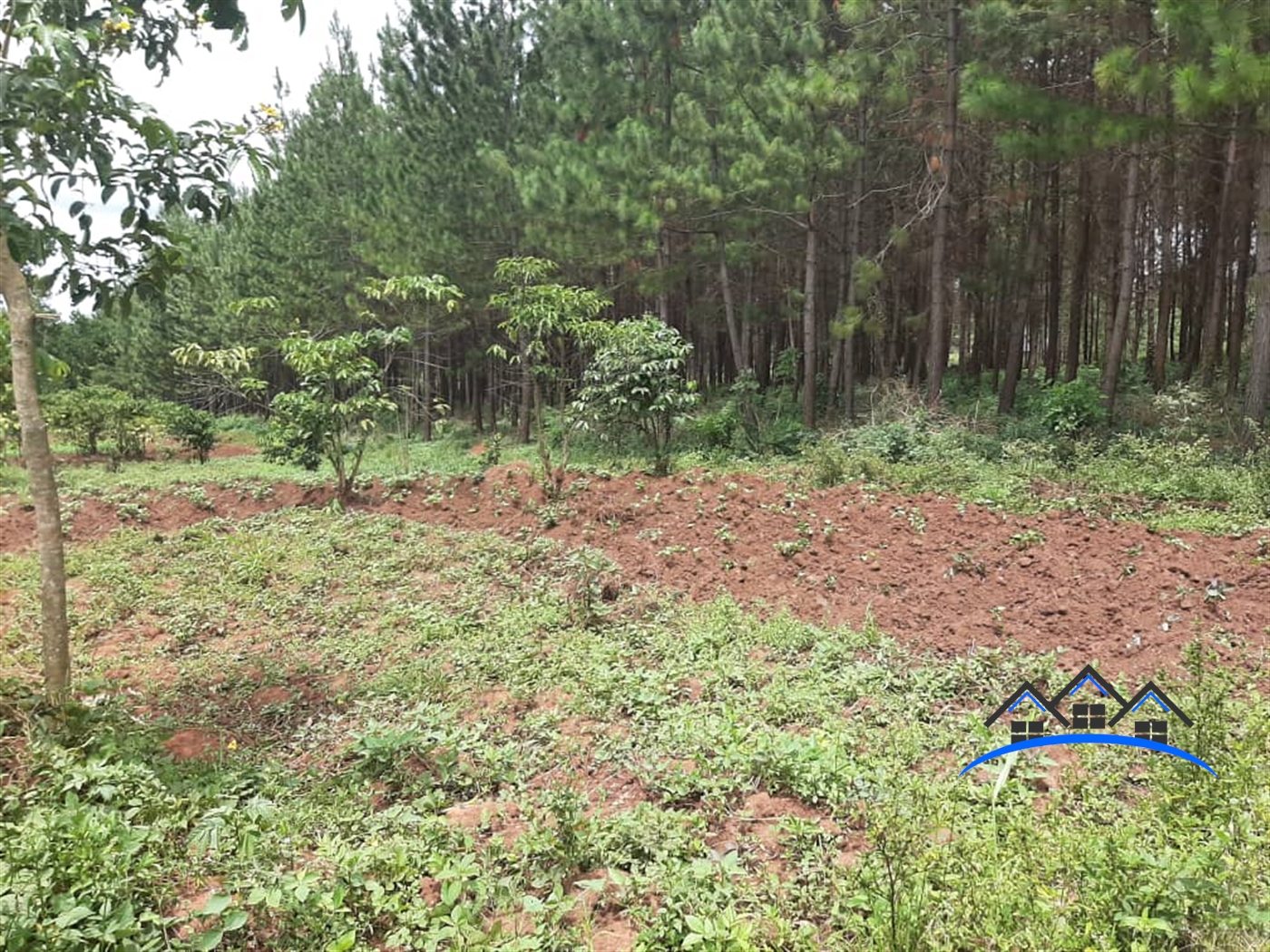 Residential Land for sale in Bugema Wakiso