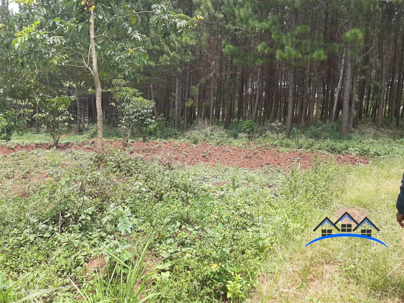 Residential Land for sale in Bugema Wakiso