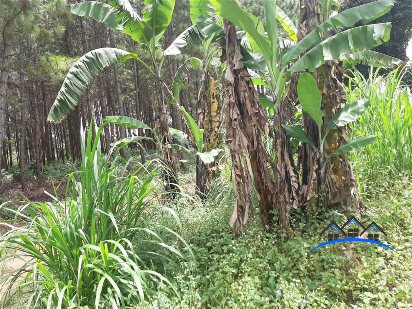 Residential Land for sale in Bugema Wakiso