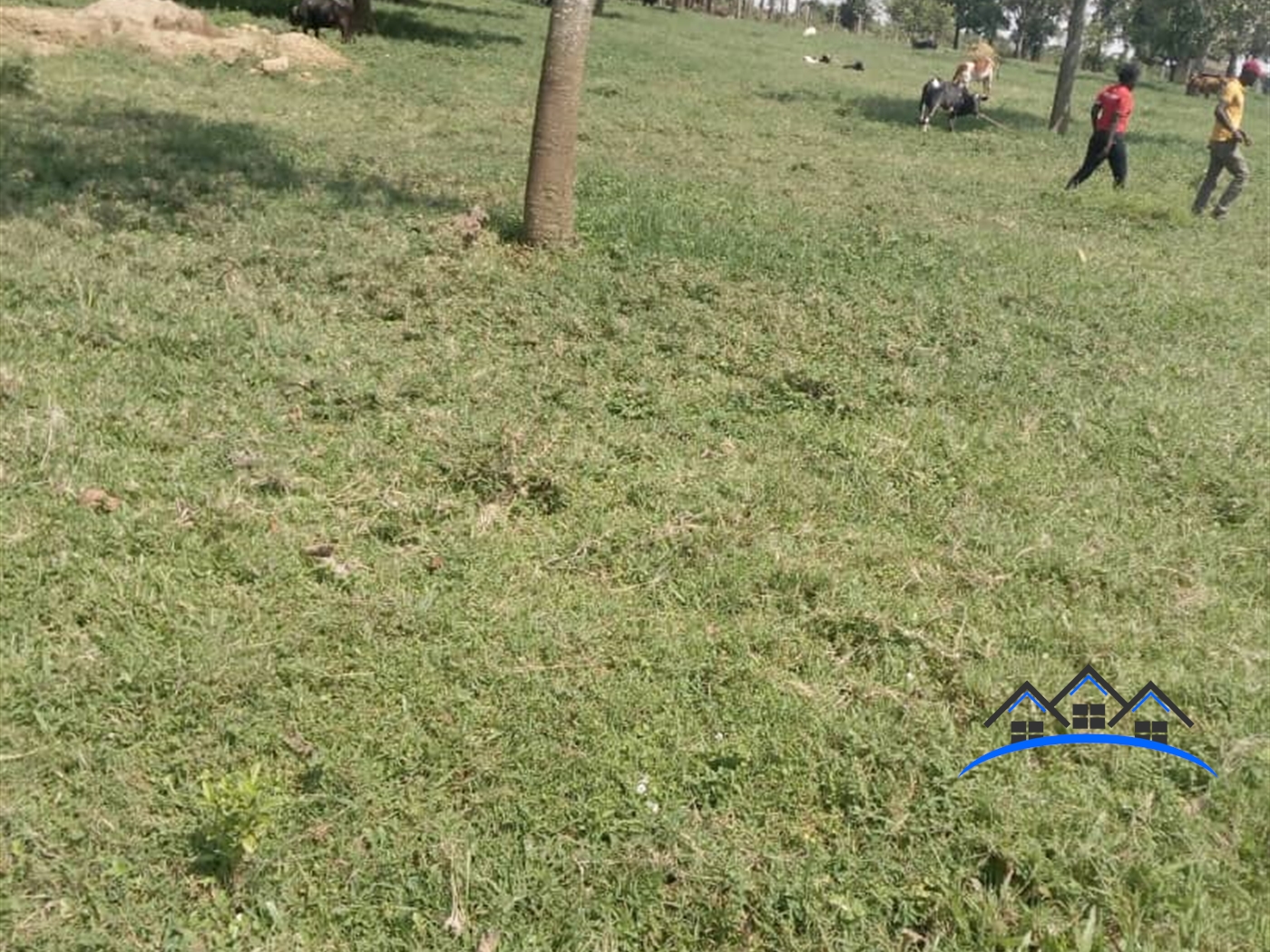 Multipurpose Land for sale in Garuga Wakiso