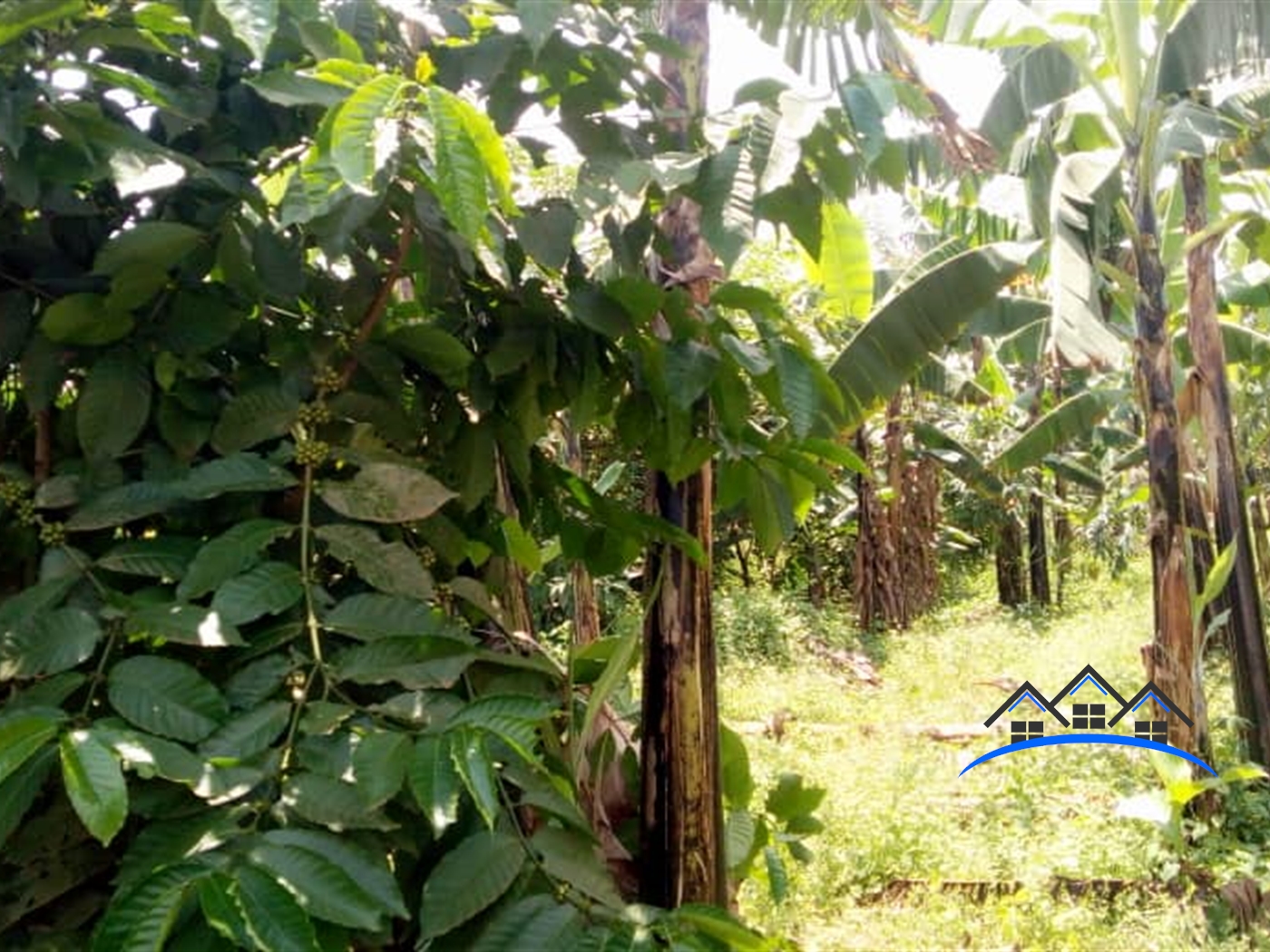 Residential Land for sale in Nakisunga Mukono