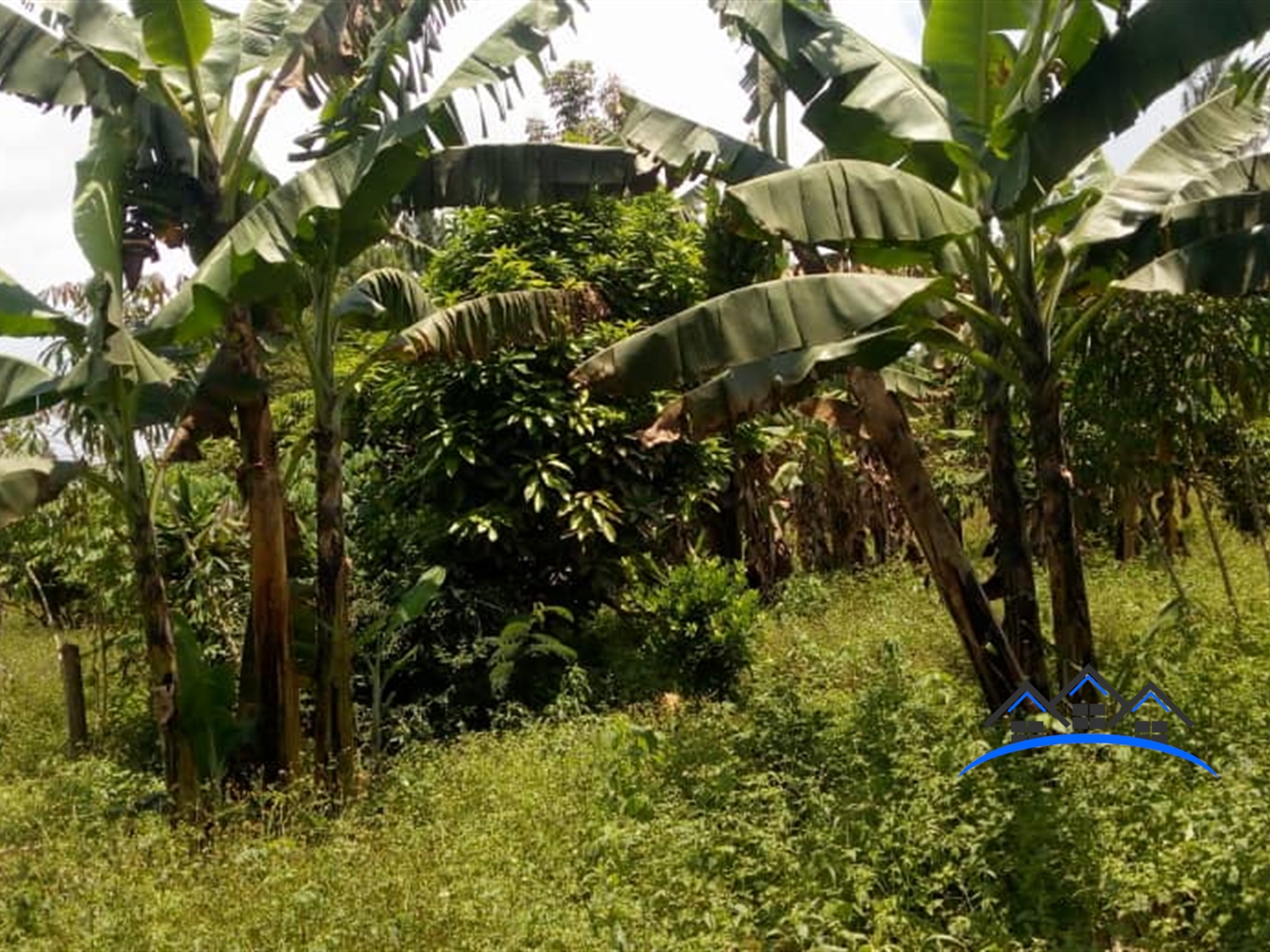 Residential Land for sale in Nakisunga Mukono