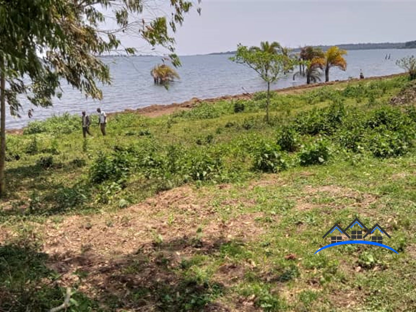 Multipurpose Land for sale in Katosi Mukono