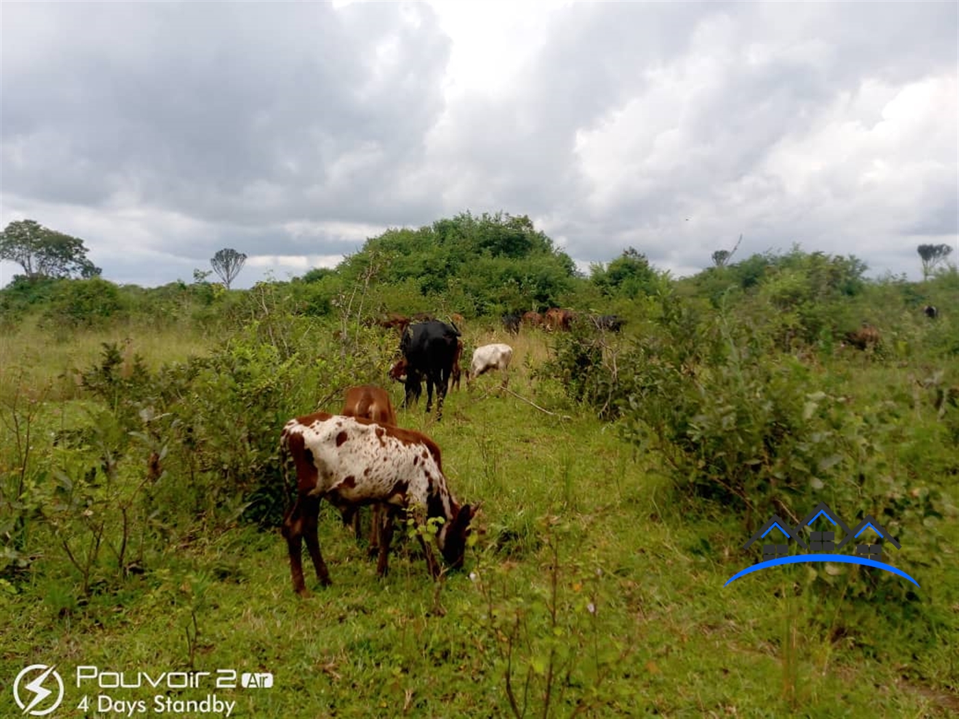 Multipurpose Land for sale in Batalangu Nakaseke