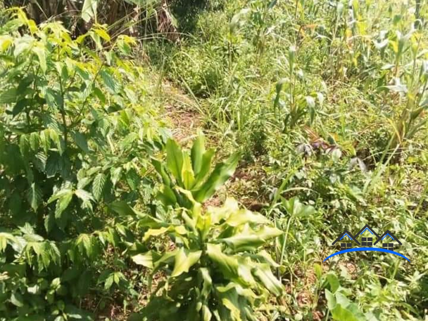 Multipurpose Land for sale in Kyotela Masaka