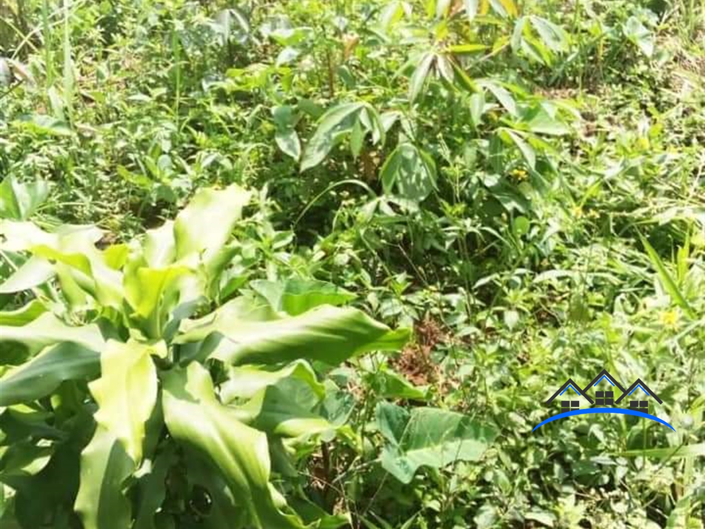 Multipurpose Land for sale in Kyotela Masaka