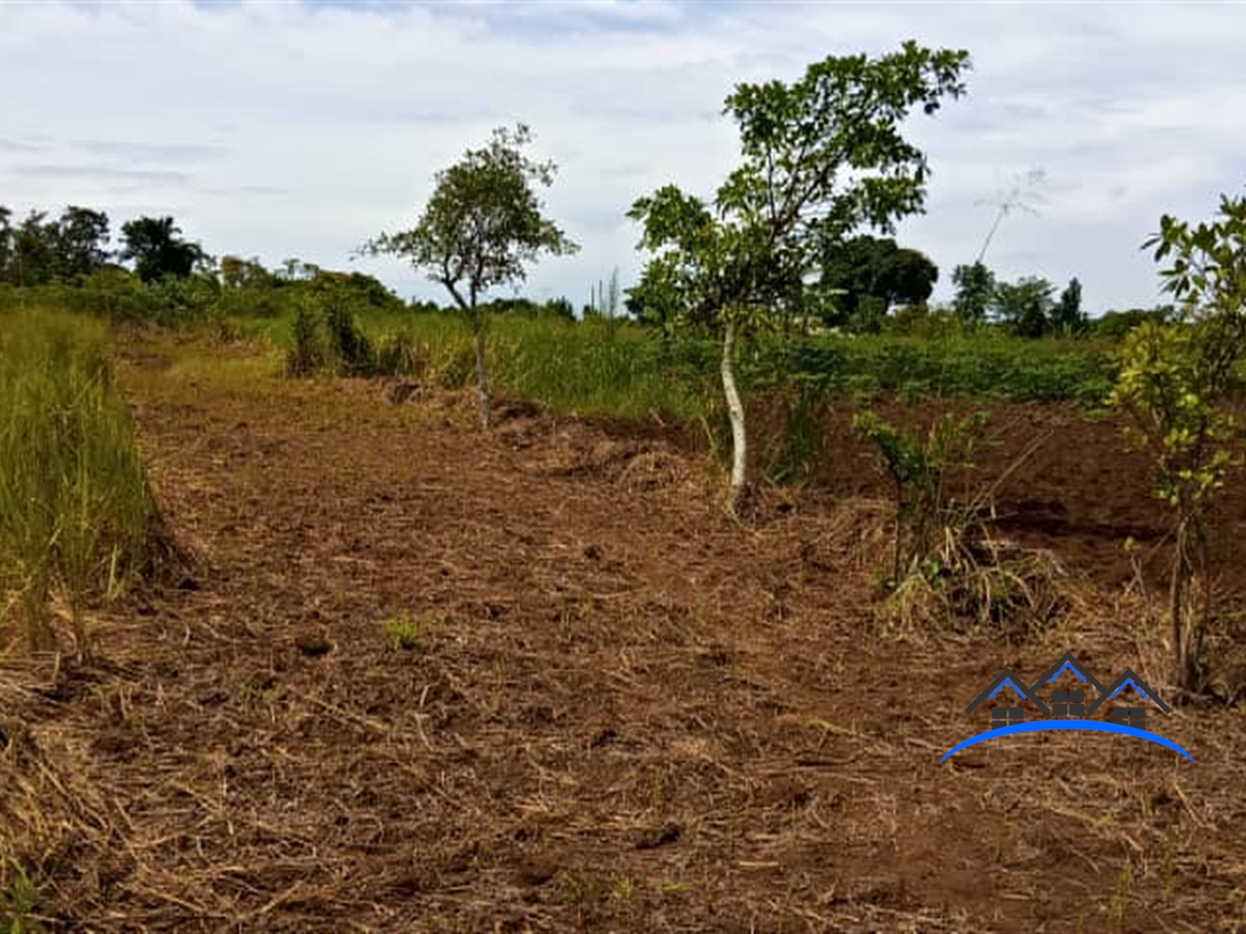 Agricultural Land for sale in Wabitungulu Luweero