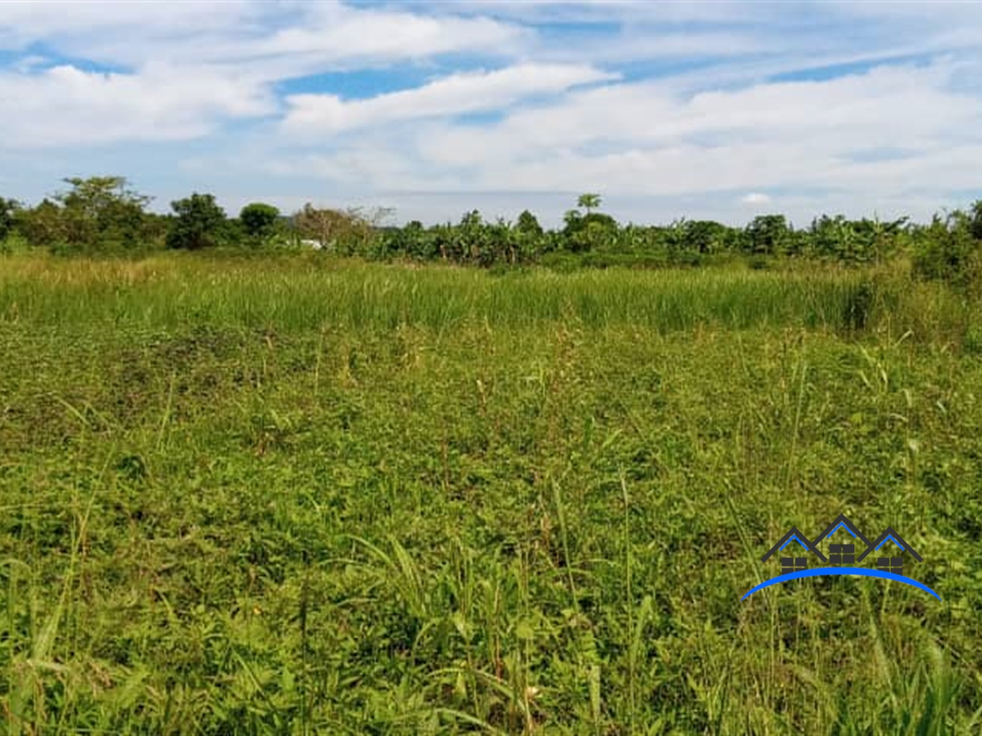 Agricultural Land for sale in Wabitungulu Luweero