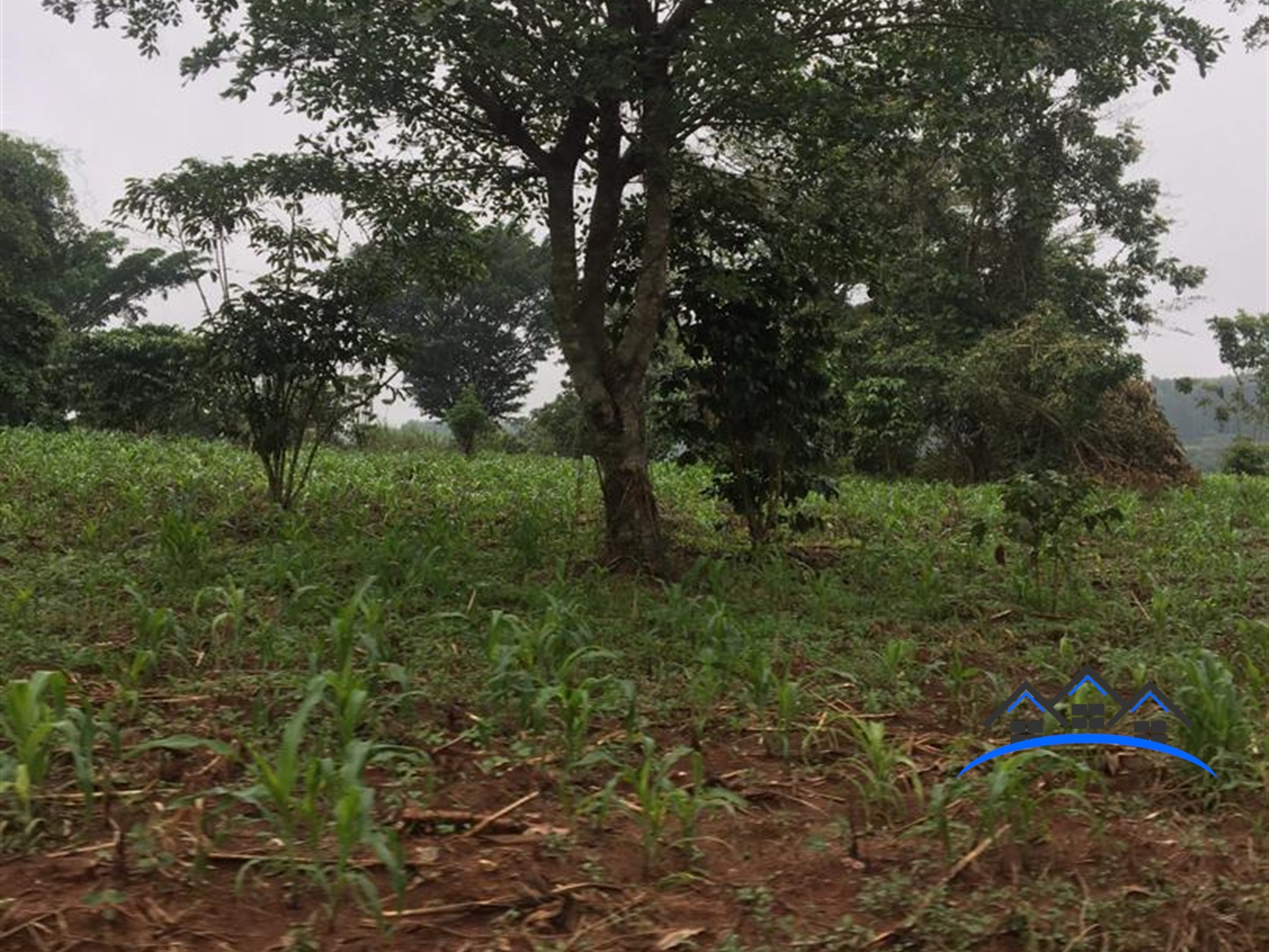 Multipurpose Land for sale in Kakumilo Mubende