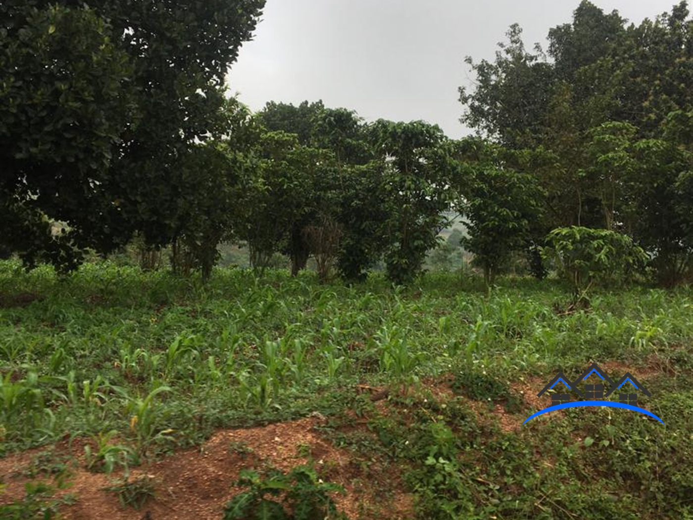 Multipurpose Land for sale in Kakumilo Mubende