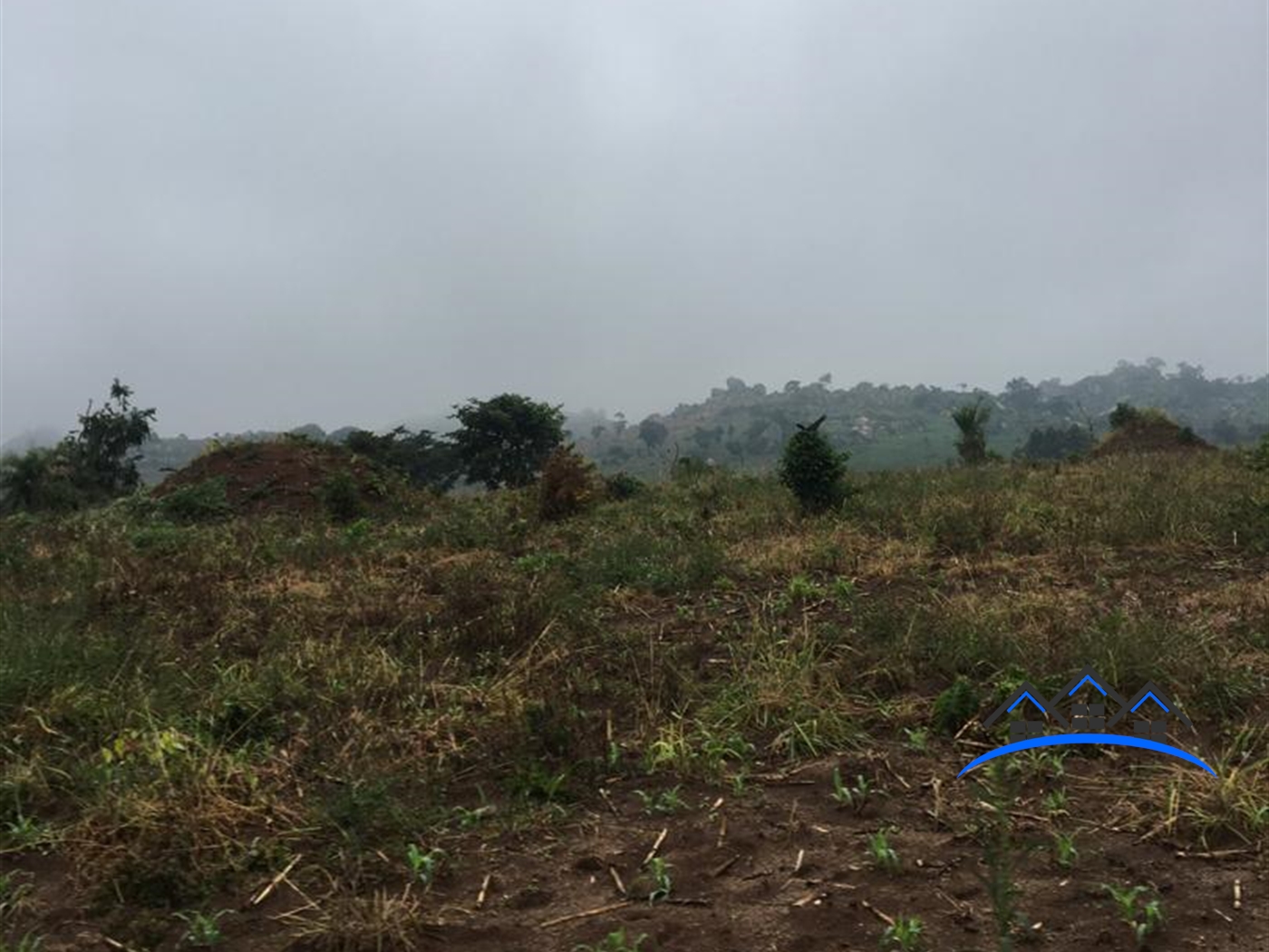 Multipurpose Land for sale in Kakumilo Mubende