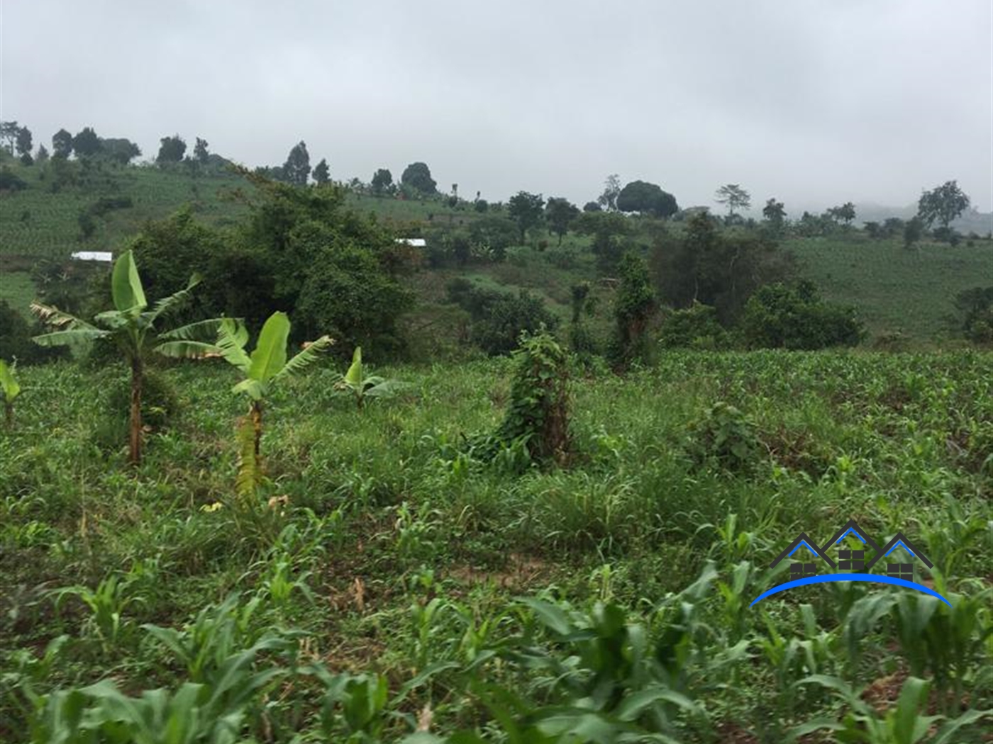 Multipurpose Land for sale in Kakumilo Mubende