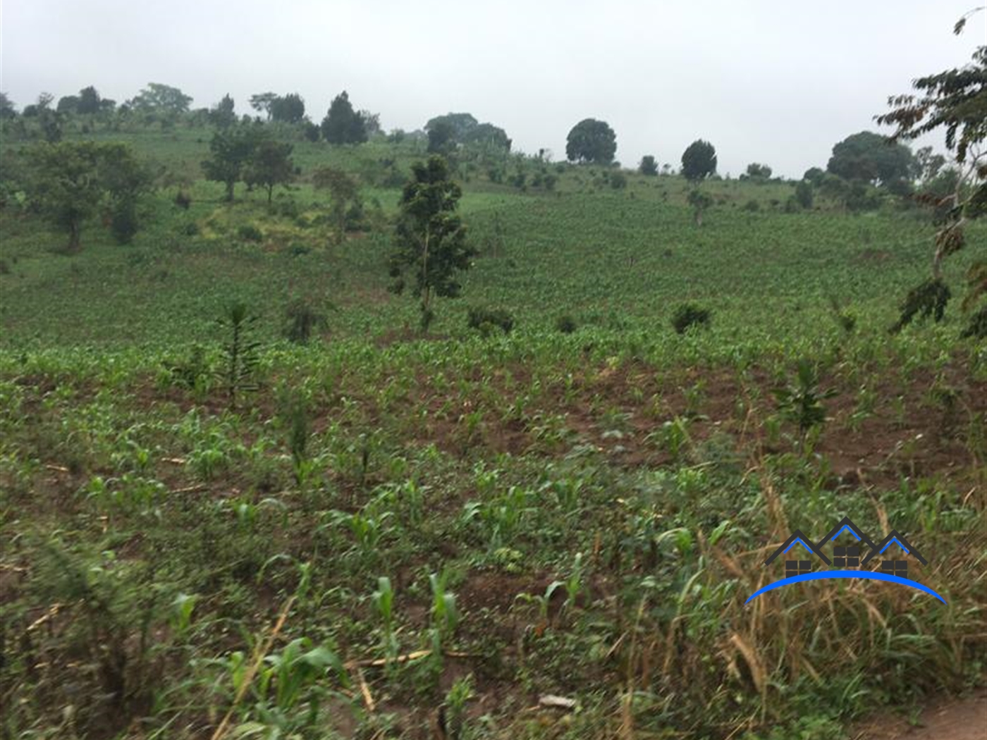 Multipurpose Land for sale in Kakumilo Mubende